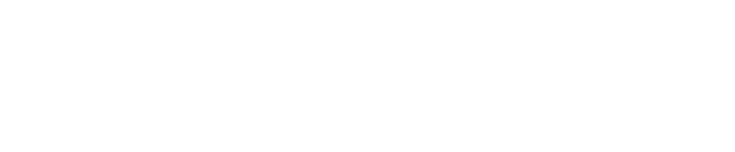 SALT MURPHY